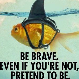 Meet your Posher, Kandi